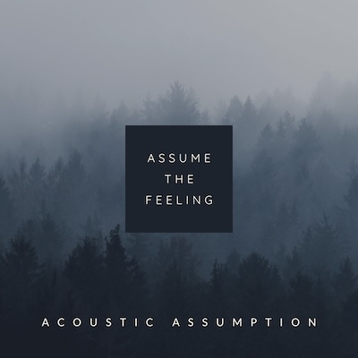 Law of Assumption album cover