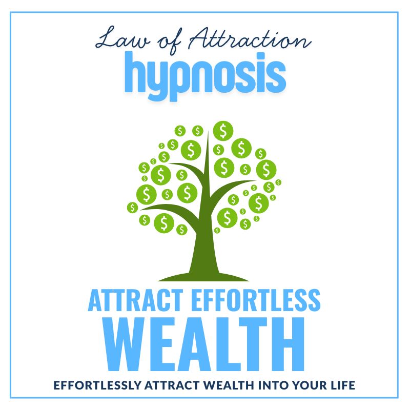 Law of Attraction Wealth Series album cover